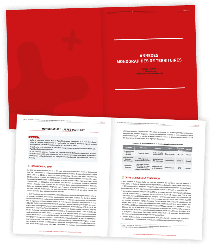 Rapport d'étude sur la place du logement d'insertion dans les SIAO créé pour les Ali par Caramel & Paprika - Deux doubles pages intérieures Monographies