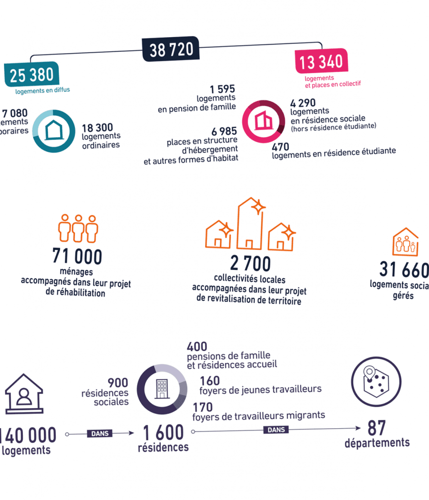 Rapport d'étude sur la place du logement d'insertion dans les SIAO créé pour les Ali par Caramel & Paprika - Infographies chiffres clés des trois fédérations
