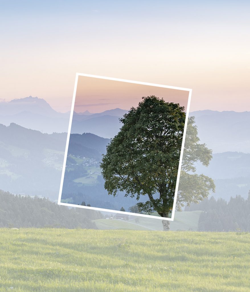 Nouveau logo créé pour La Belle Echappée par Caramel & Paprika - Photo recadrée d'un arbre seul dans un paysage de montagne printanier (photo © Adobe Stock)