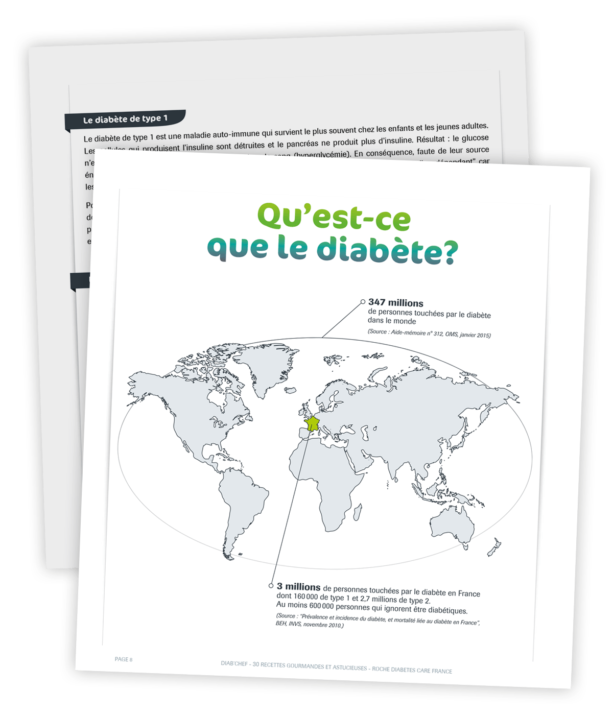 Livre de cuisine gourmande créé pour Roche Diabetes Care par Caramel & Paprika - Pages d'information sur le diabète 8 et 9
